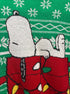Peanuts · Snoopy Christmas Sweater · 2X · Green