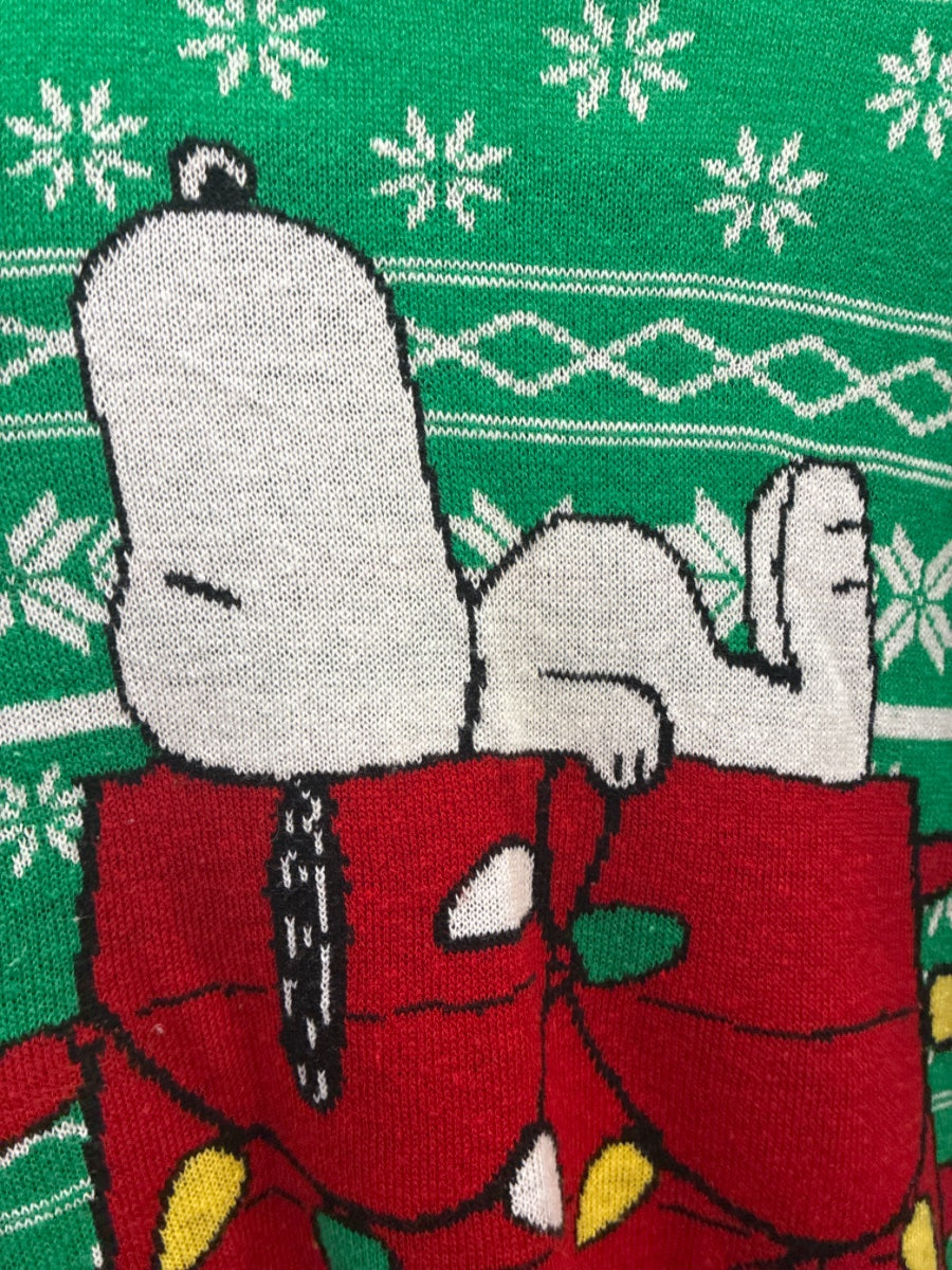 Peanuts · Snoopy Christmas Sweater · 2X · Green