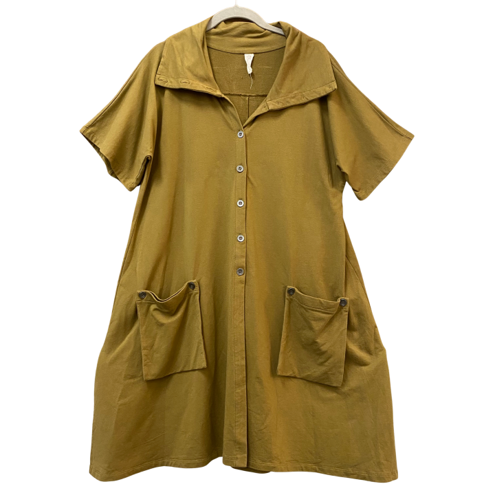 Tunic/Dress