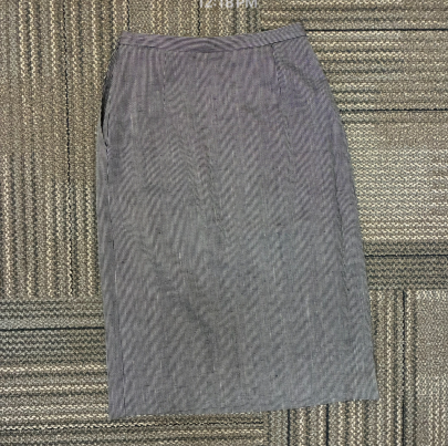 2PC Skirt/Blazer Set