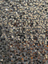 Coldwater Creek · Sleeveless Top with Sequin Detail · XLarge · Gray