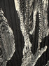 DRECOL · LongSleeve Fashion Top · 1X · Black and White
