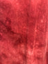 Johnny Was · Gillian Croppants · Medium · Red
