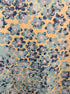Title 9 · Active Dress Floral Print w/ Pockets · Small · TurqLime