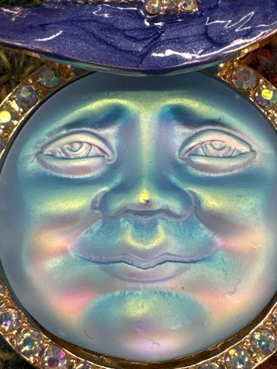 Fashion Brooch · Jewelry · Purple and Iridescent Blue