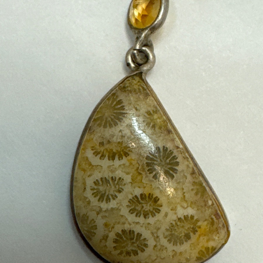 .925 Fossilized Coral Earrings · Jewelry · leaver back · Yellow, Beige