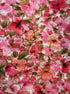 Jones New York · Roll Tab Shirt · Large · Rose Floral