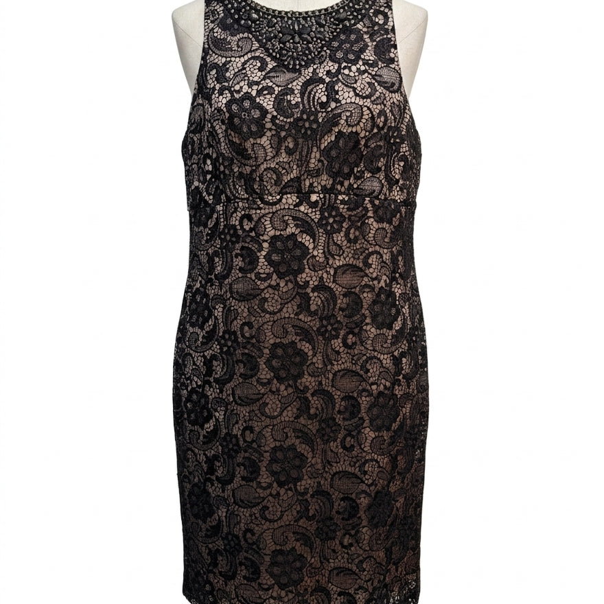 Dressbarn · Bejeweled · 14 · BlackNude