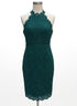 Bardot · Lace Panel Cotton Blend Dress · 8 · Emerald
