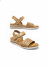 Bobs · Desert Kiss in a Sunny Flair · 7 · Chestnut