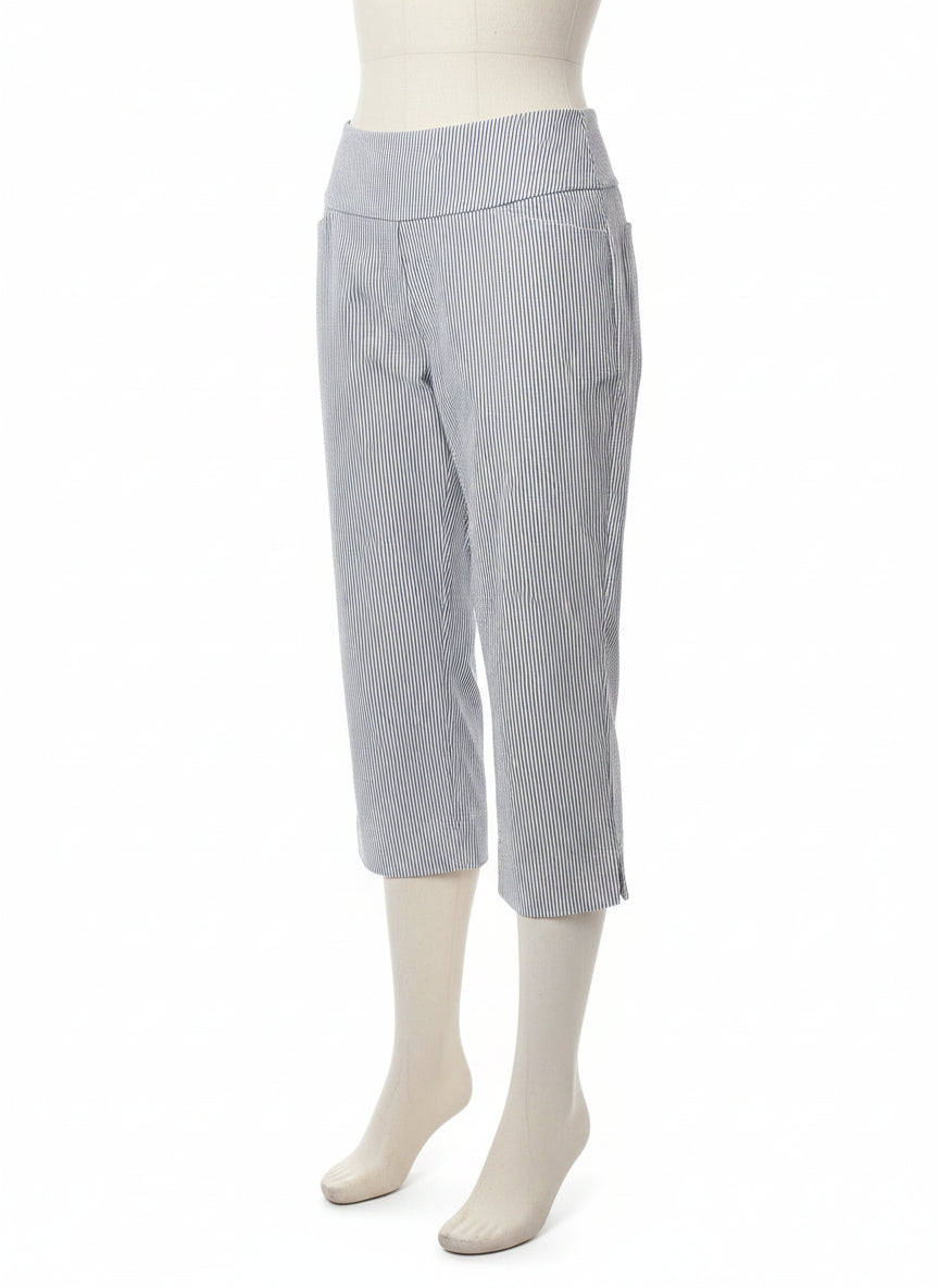 SC&Co · Pants · 6 · Blue White Pinstripe